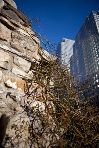 Irish Hunger Memorial, New York