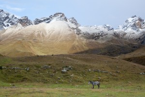 Snow Dusted Mountains, Ancascocha