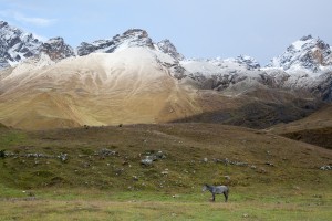 Snow Dusted Mountains, Ancascocha